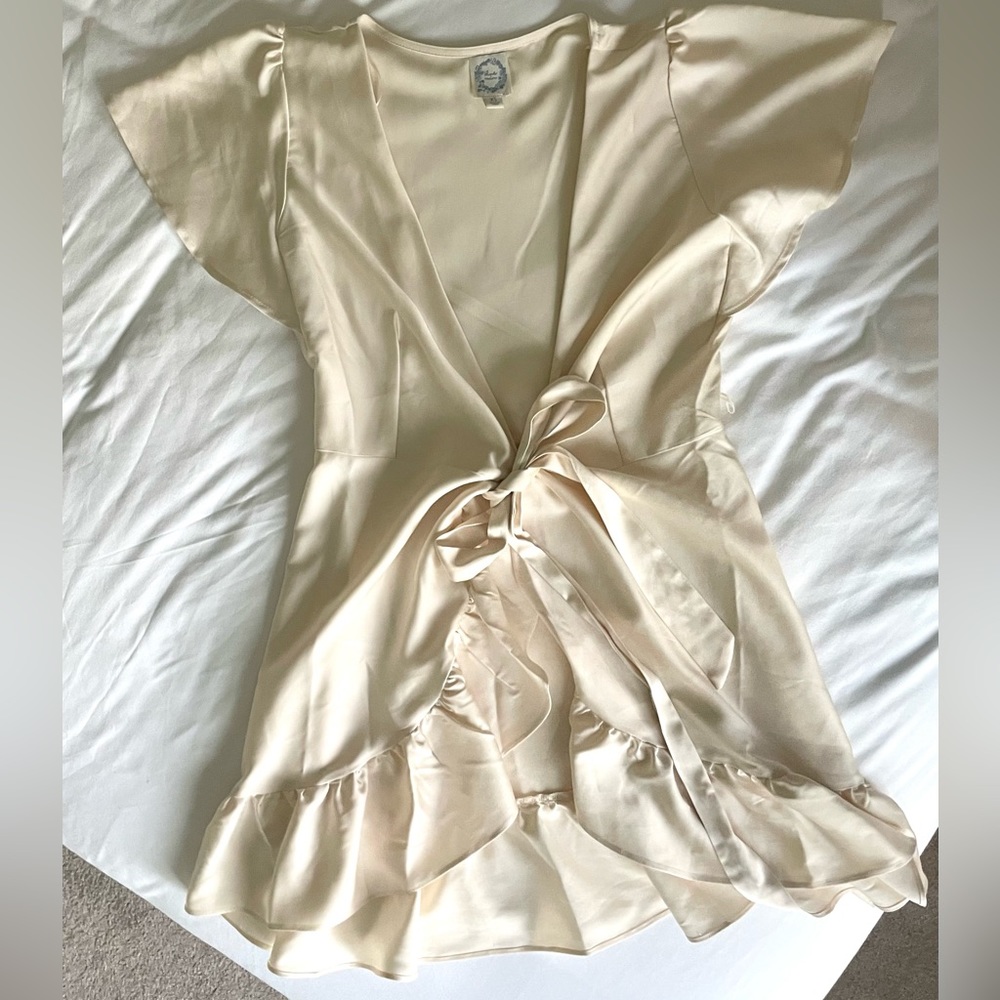 Francesca’s Silk Mini Dress
